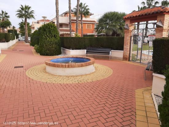 PLANTA BAJA DE 2 DORMITORIOS CON PISCINA COMUNITARIA - ZONA ZENIAMAR, ORIHUELA COSTA - - ALICANTE