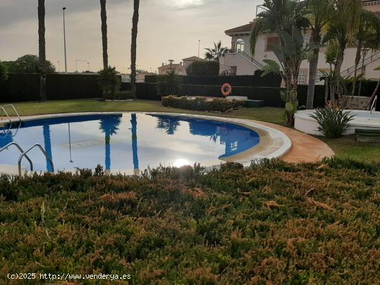 PLANTA BAJA DE 2 DORMITORIOS CON PISCINA COMUNITARIA - ZONA ZENIAMAR, ORIHUELA COSTA - - ALICANTE