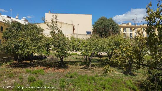 Venta de solar urbano de 1.100 m2 en Lloseta - BALEARES