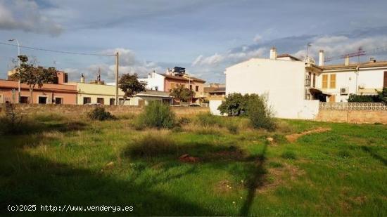 Solar urbano de 500 m2 en Son Ferriol (Palma) - BALEARES