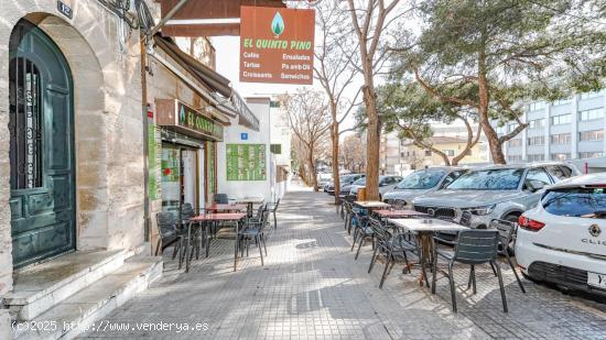 Bar Cafeteria zona Armadams - BALEARES