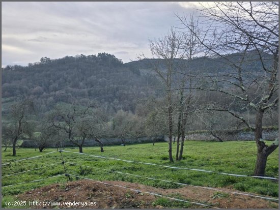 TERRENO EDIFICABLE, QUINTANA VILLAPEREZ. OVIEDO.