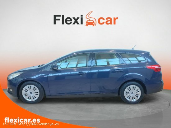 Ford Focus 1.5 TDCi E6 95cv Business - Badajoz