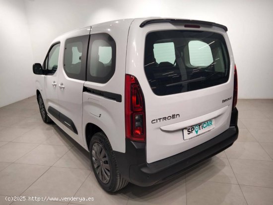 Citroën Berlingo  Talla M BlueHDi 100 S&S Plus - VITORIA