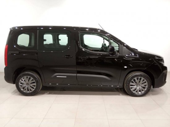 Citroën Berlingo  Talla M BlueHDi 100 S&S Plus - VITORIA