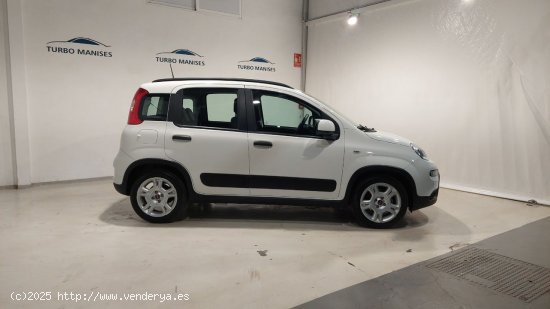 Fiat Panda City Life Hybrid 1.0 Gse 51kw (70CV) - QUART DE POBLET