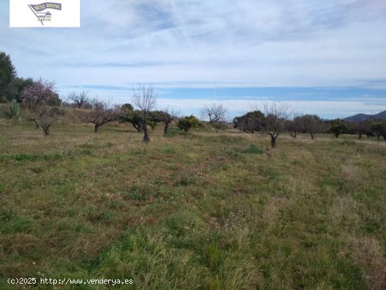 OPORTUNIDAD TERRENO CON REFUGIO EN AGULLENT/ALBAIDA - VALENCIA