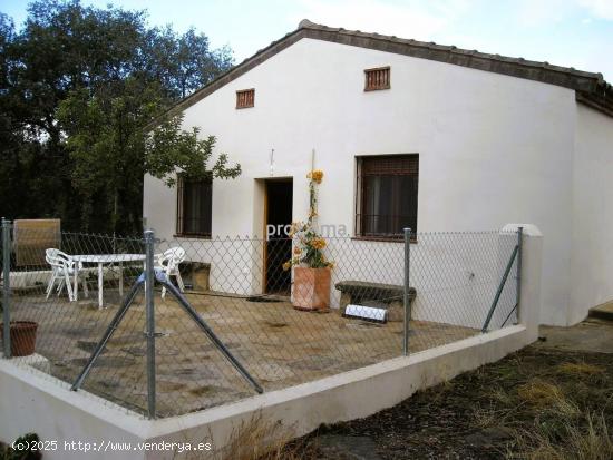 Ha encontrado su trozo de paraíso natural. - CACERES