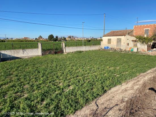  CASA CON PARCELA EN ORIHUELA - ALICANTE 