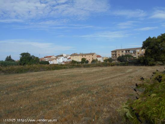 VENDO TERRENO URBANIZABLE DE 8000 m2, en MONTEAGUDO, (Navarra) - NAVARRA