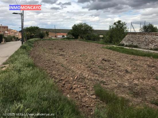  Se vende solar urbano en Alcala de Moncayo - ZARAGOZA 