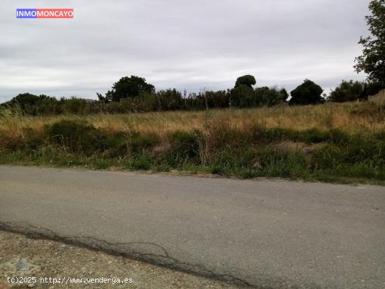 SE VENDE FINCA RÚSTICA EN CARRETERA CUNCHILLOS (TARAZONA) - ZARAGOZA