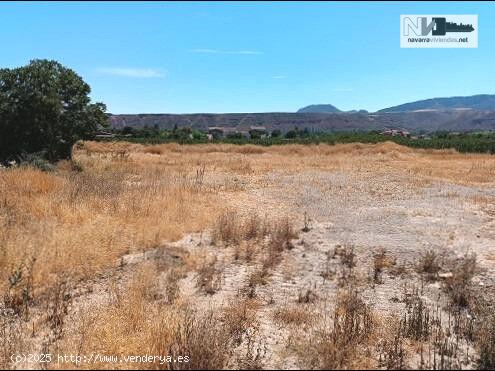 Venta de parcela de 8.364m2 en Albelda de Iregua (La Rioja) - LA RIOJA