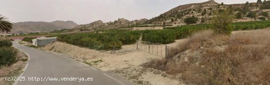 Terreno Regadio y Secano  en venta en Cañada Gil, Ricote, Murcia - MURCIA