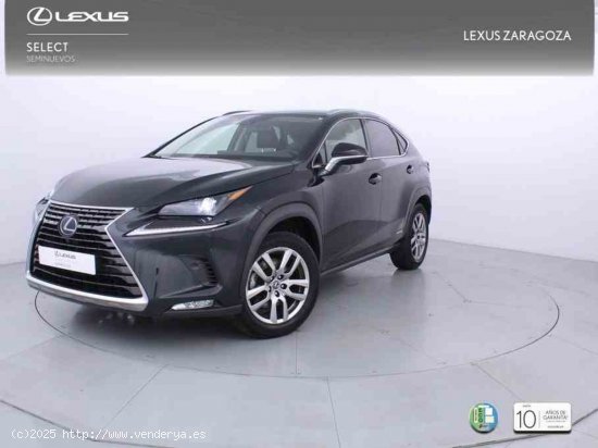  Lexus NX 2.5 300h Executive Navigation 4WD + Pack Boutique Select - Zaragoza 