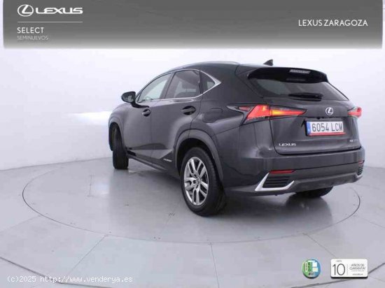 Lexus NX 2.5 300h Executive Navigation 4WD + Pack Boutique Select - Zaragoza