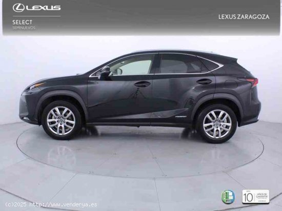 Lexus NX 2.5 300h Executive Navigation 4WD + Pack Boutique Select - Zaragoza