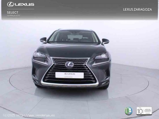 Lexus NX 2.5 300h Executive Navigation 4WD + Pack Boutique Select - Zaragoza