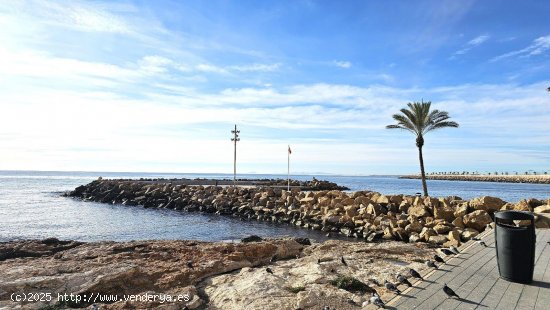 Apartamento en venta en Torrevieja (Alicante)