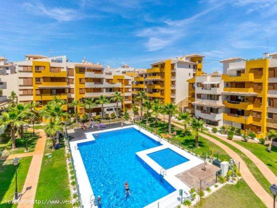 Apartamento en venta en Torrevieja (Alicante)