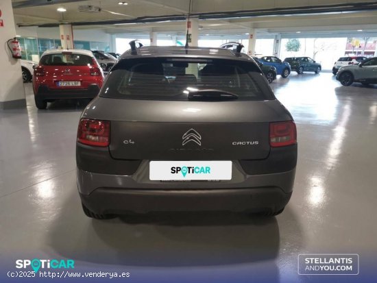 Citroën C4 Cactus  PureTech 81KW (110CV) S&S Feel - Barcelona