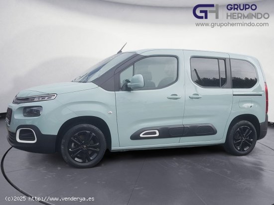 Citroën Berlingo TALLA M BLUE HDI 130 CV SHINE - Ponteareas