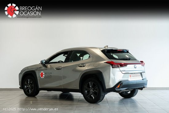 Lexus UX 250H 2WD Business Navigation Lexus UX en Galicia: A Coruña, Santiago, Lugo y Pontevedra. -