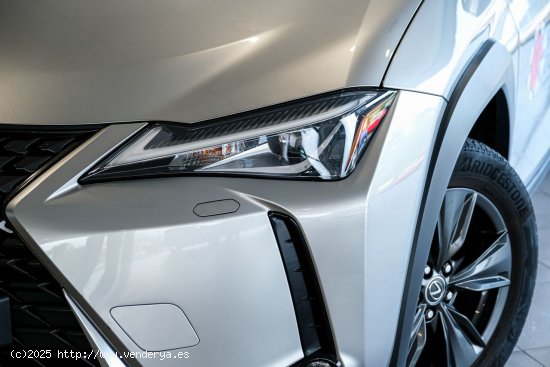 Lexus UX 250H 2WD Business Navigation Lexus UX en Galicia: A Coruña, Santiago, Lugo y Pontevedra. -