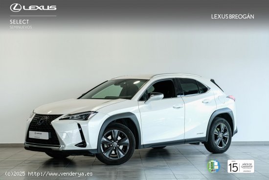  Lexus UX 250H 2WD Business Lexus UX en Galicia: A Coruña, Santiago, Lugo y Pontevedra. - A Coruña 