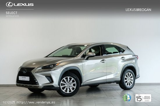  Lexus NX 300H 2WD Business Navigation Lexus NX en Galicia: A Coruña, Santiago, Lugo y Pontevedra. - 