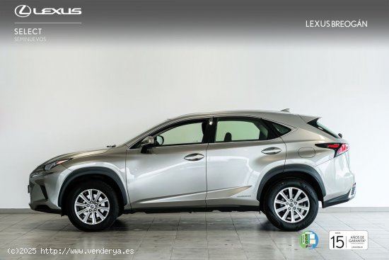 Lexus NX 300H 2WD Business Navigation Lexus NX en Galicia: A Coruña, Santiago, Lugo y Pontevedra. -