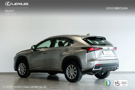 Lexus NX 300H 2WD Business Navigation Lexus NX en Galicia: A Coruña, Santiago, Lugo y Pontevedra. -