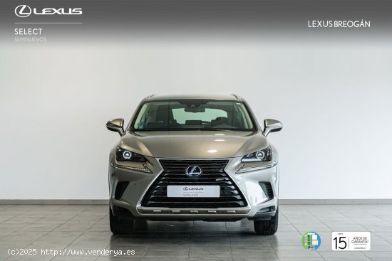 Lexus NX 300H 2WD Business Navigation Lexus NX en Galicia: A Coruña, Santiago, Lugo y Pontevedra. -