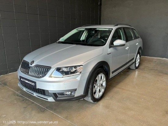  SKODA Octavia en venta en Sant Celoni (Barcelona) - Sant Celoni 