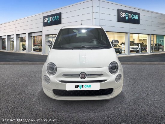 Fiat 500 Monotrim 1.0 Hybrid 51KW (70 CV) - Sestao