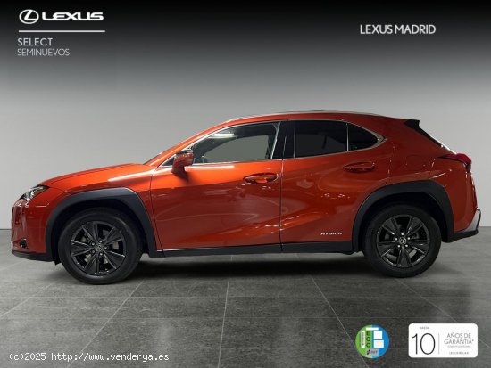 Lexus UX 2.0 250h Business - Madrid