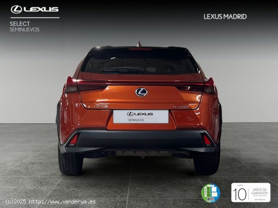 Lexus UX 2.0 250h Business - Madrid