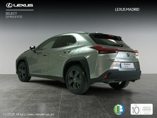 Lexus UX 2.0 250h Premium - Madrid