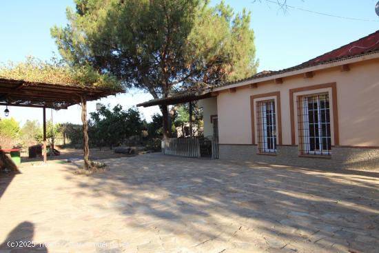 Tranquilidad, espacio y luz. - BADAJOZ