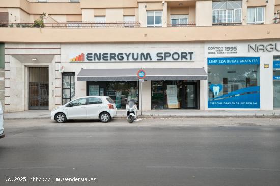  LOCAL EN ALQUILER EN AVENIDA DE EUROPA - CADIZ 