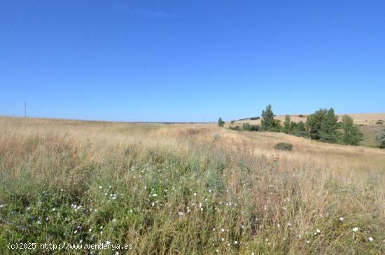 Urbis te ofrece un terreno en venta en Almenara de Tormes, Salamanca. - SALAMANCA