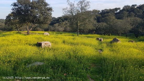  Parcela en venta en Urbanización Campomanes en Badajoz - BADAJOZ 