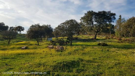 Parcela en venta en Urbanización Campomanes en Badajoz - BADAJOZ