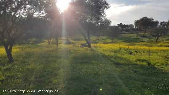 Parcela en venta en Urbanización Campomanes en Badajoz - BADAJOZ