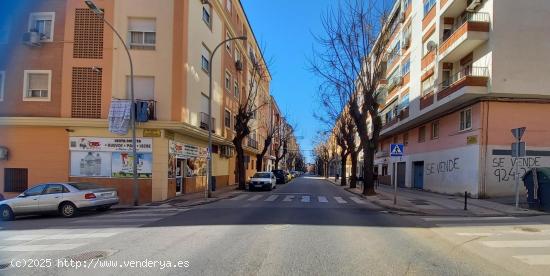  PISO DE 4 DORMITORIOS EN AVENIDA CARDENAL CISNEROS - BADAJOZ 