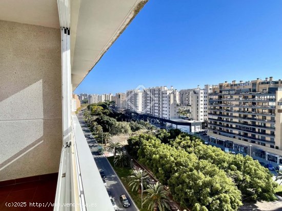 Apartamento en venta en Alicante (Alicante)