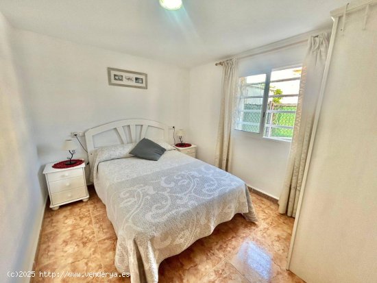 Apartamento en alquiler en Oliva (Valencia)