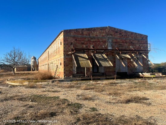  Finca en venta en Cretas (Teruel) 