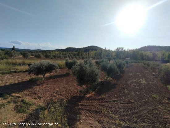  Finca en venta en Torre del Compte (Teruel) 