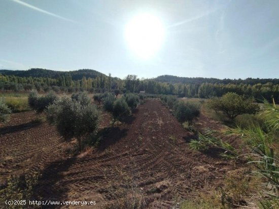 Finca en venta en Torre del Compte (Teruel)